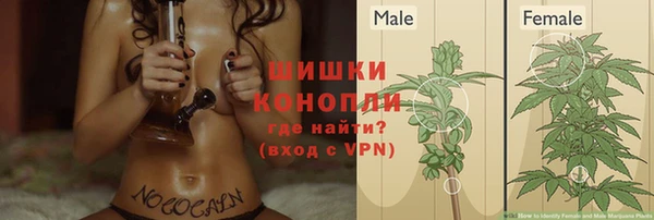 гидропоника Богородицк