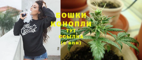 2c-b Богданович