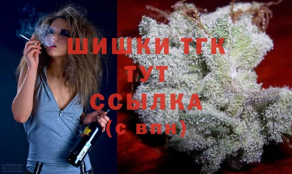 гидропоника Богородицк